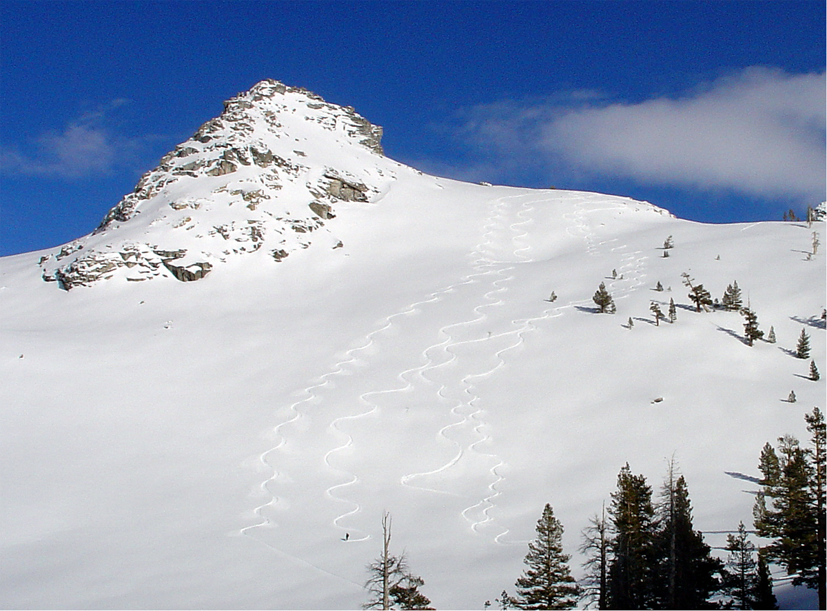 Skiers Alta
